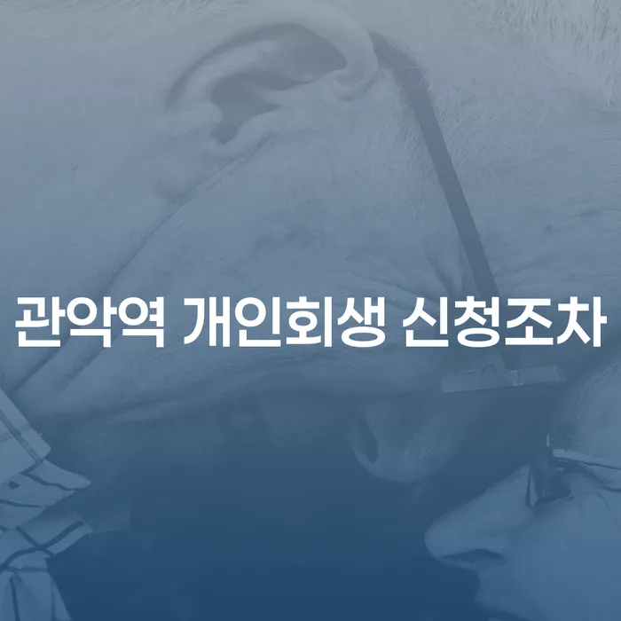 관악역 개인회생 신청조차