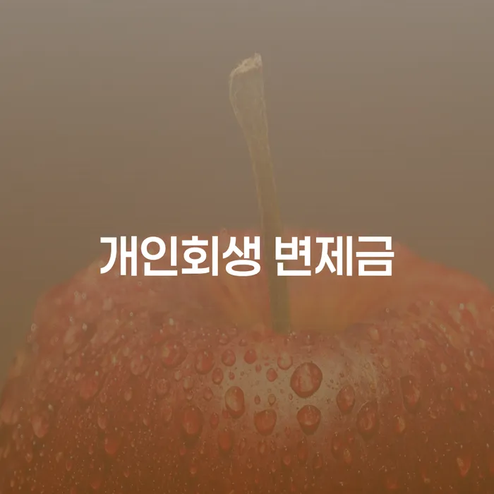 개인회생 변제금, 어떻게 관리해야 할까?