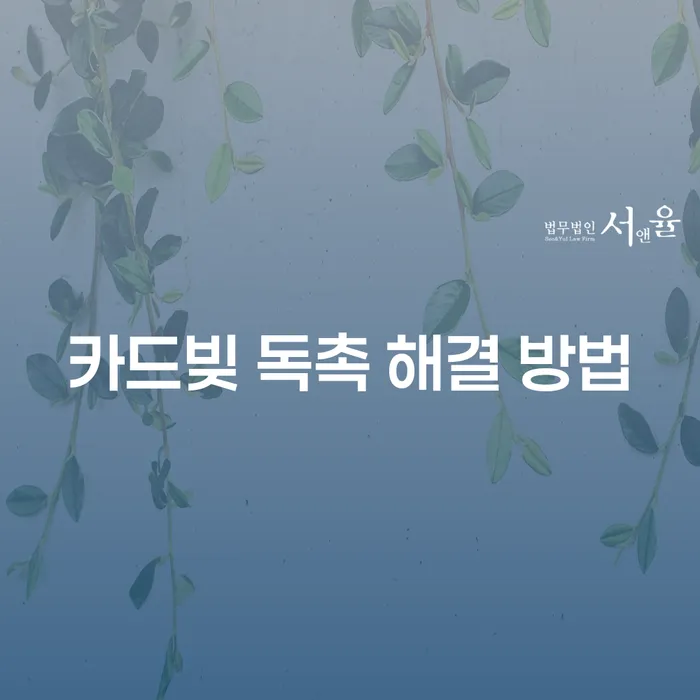 카드빚 독촉 해결 방법의 모든 것, 어떻게 시작해야 할까요?