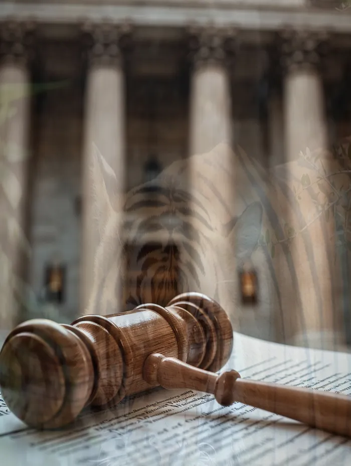 금천구개인회생자격