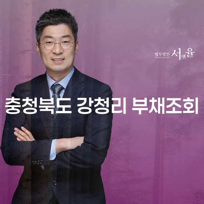 충청북도 강청리 부채조회와 개인회생보정권고로 채무 문제 해결하기